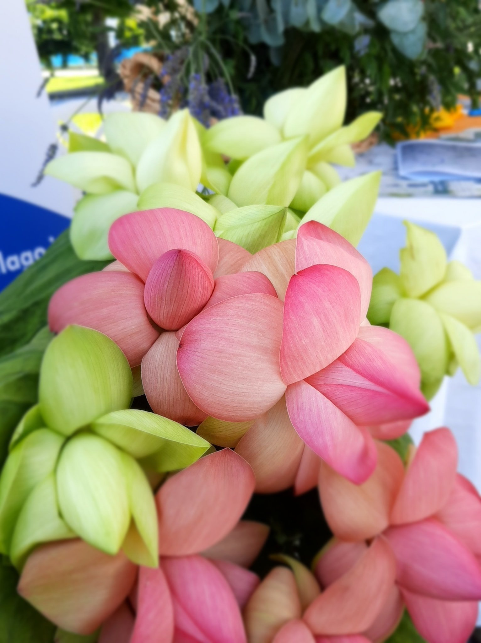 Immagini di repertorio