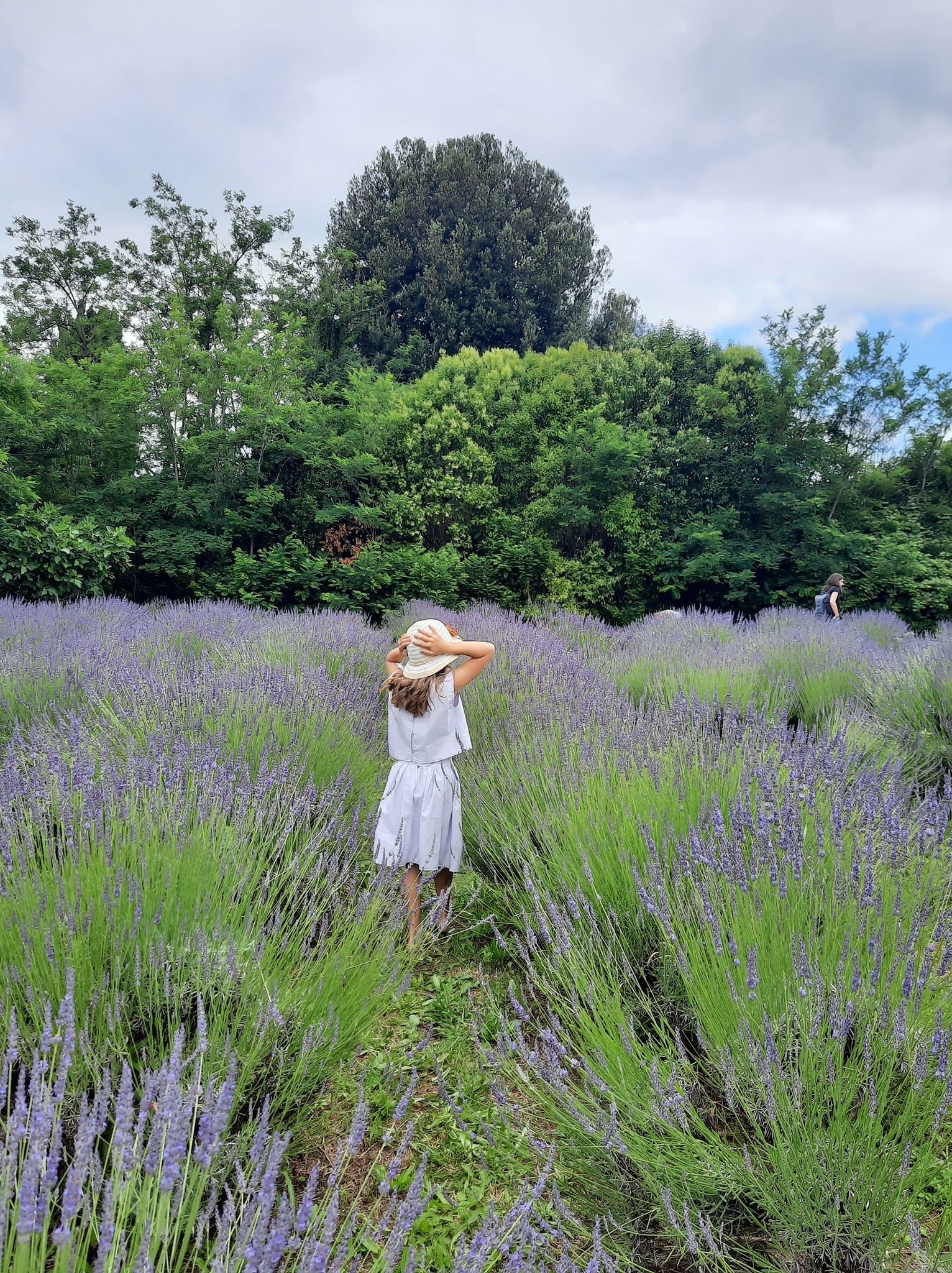 Immagini di repertorio