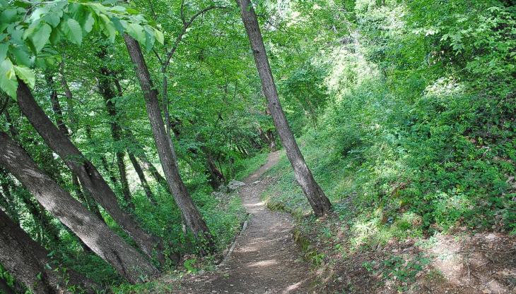 Sentiero per la Buca delle fate