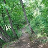 Sentiero per la Buca delle fate